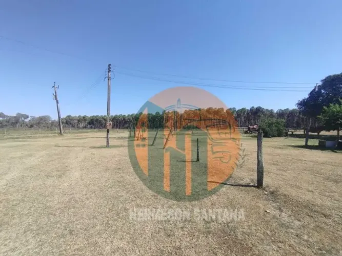 FAZENDA 1.987 Hectares NO PANTANAL | REGIÃO DO PORTO ESPERANÇA - CORUMBÁ/MS