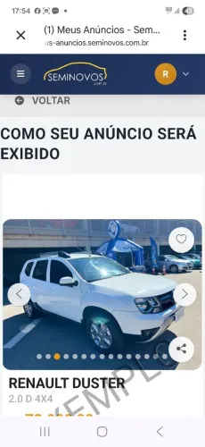 Renault Duster Dynamique 4X4 2.0 Hi-flex 16V MEC 2020