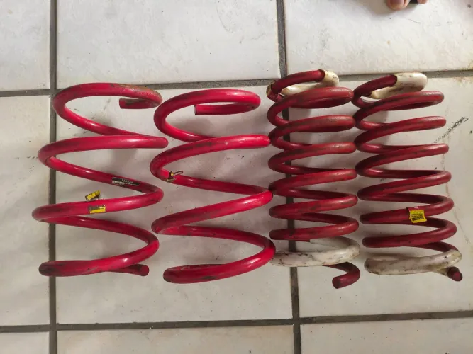 Molas esportivas