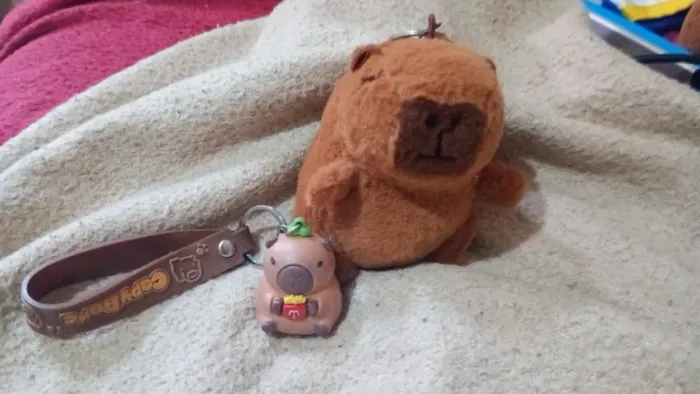 Pelúcias e chaveiro