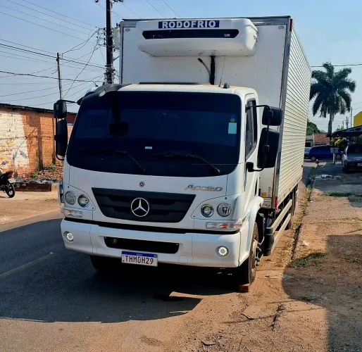 Motorista cat.: D disponível