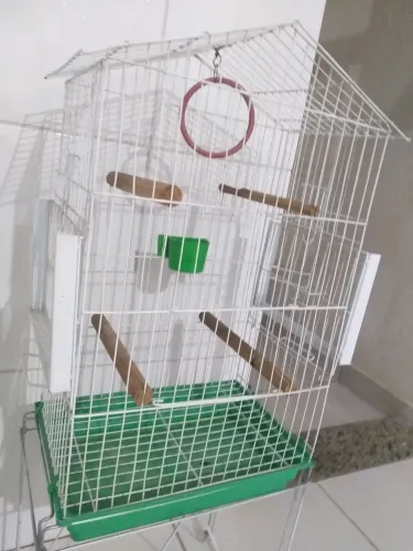 Gaiola seme novo pra calopicita