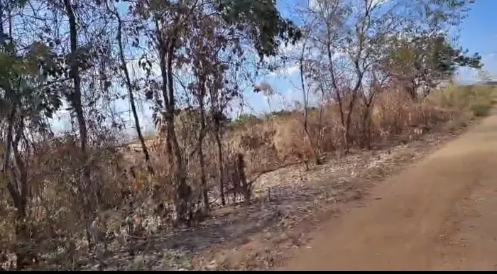 Terreno plano 600m² próximo a PRF na  BR 316 - Povoado Junco 