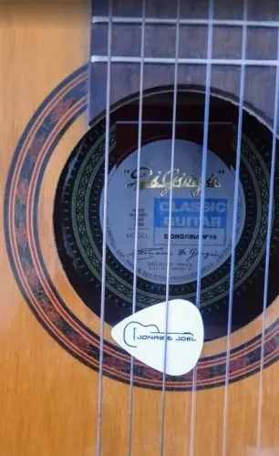 Violão Di Giorgio Eletroacústico Nylon