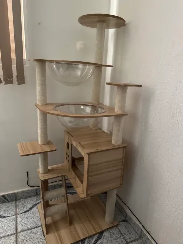 Arranhador gato