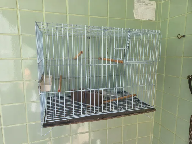 Gaiola de Periquito 