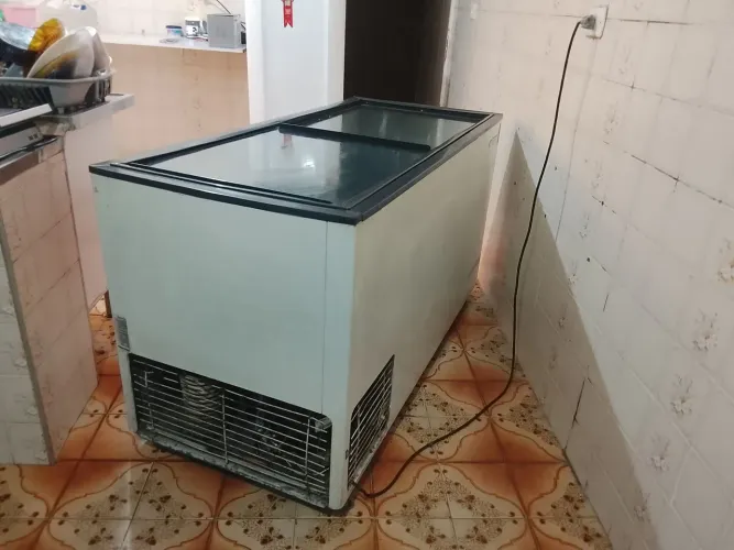 Freezer 650 L