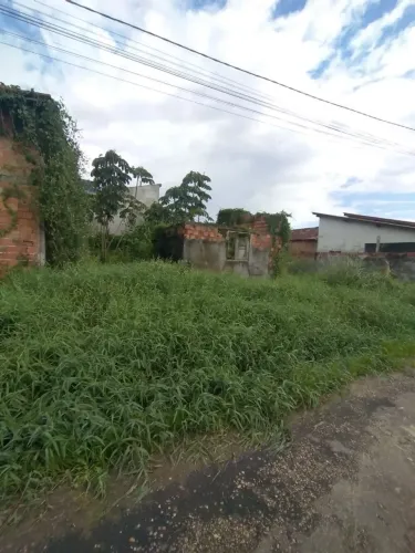 Lote 8x18