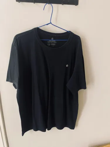 Camiseta Audithorium