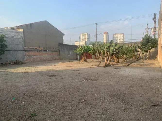 Terreno à venda, 677 m² - Santo Amaro - São Paulo / SP
