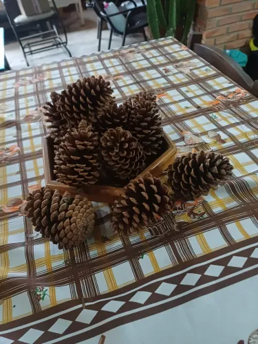 PINHAS 