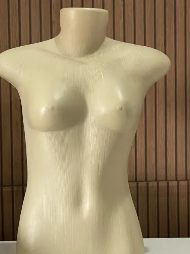 Roupas para brechó + manequim
