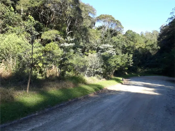 Terreno à venda em Rio abaixo - SP