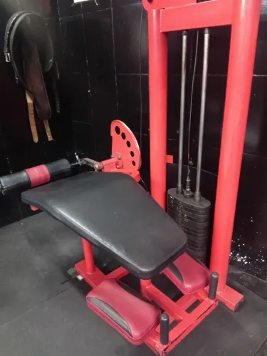 Mesa flexora GURIK