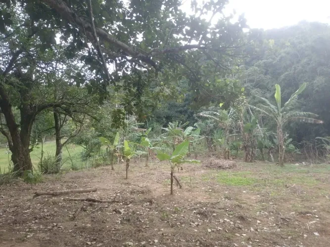 Vendo sítio em Jaceruba