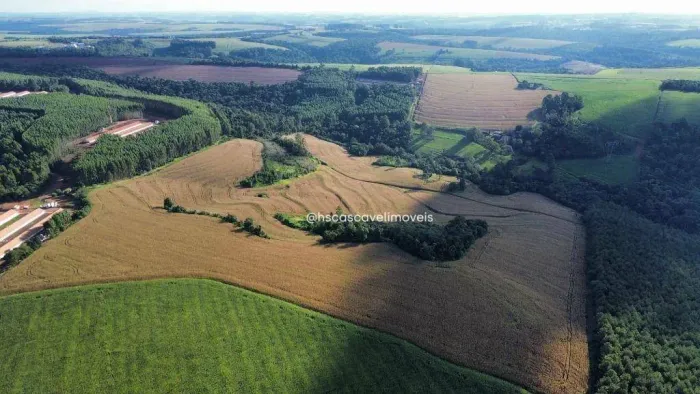 Sítio à venda, 445279 m² - São João do Oeste - Cascavel/PR