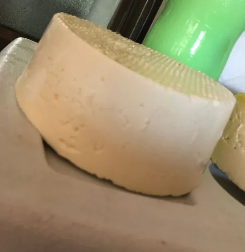 Queijo fresco caseiro