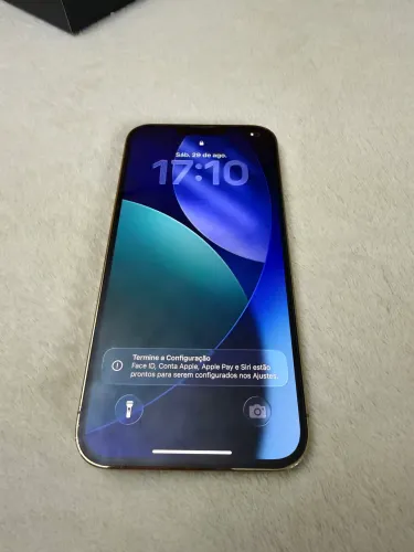 iPhone 13 Pro Max 256gb