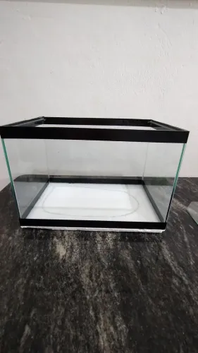 Aquário completo 