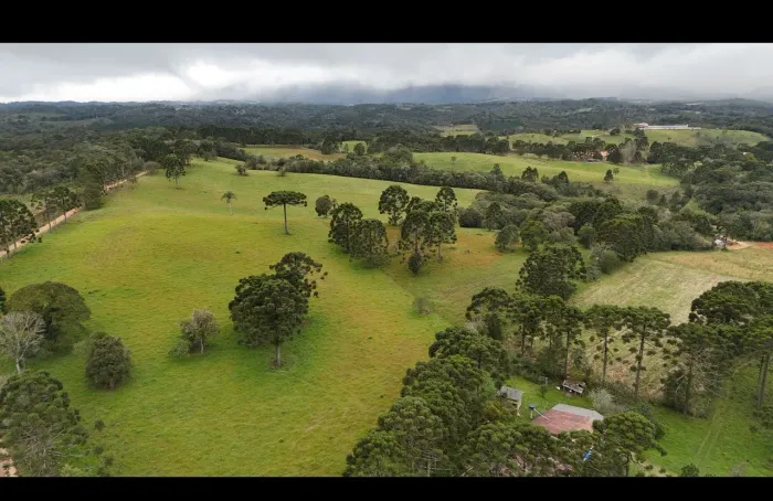 Haras com 10 dormitórios à venda, 520000 m² por R$ 20.000.000,00 - Zona Rural - Tijucas do