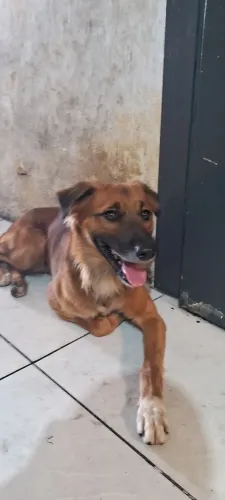 Doação