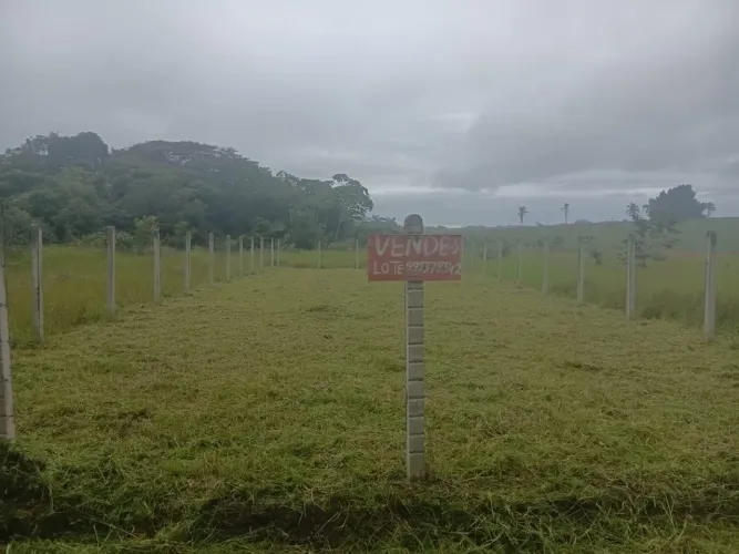 Terreno