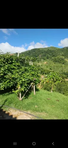 VENDO URGENTE CHÁCARA COM CASA LAJE NOVA