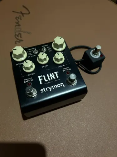 Strymon Flint + Favorite Switch