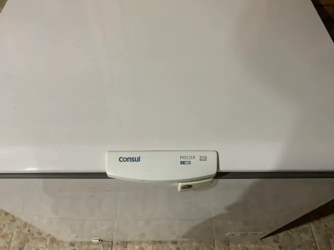 VENDO FREEZER CONSUL 310 L