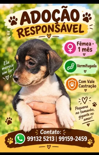 Adoção responsável