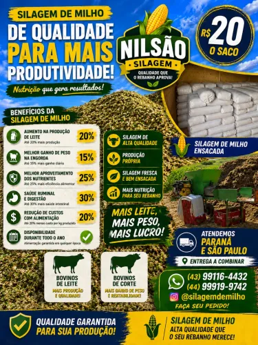 ? Silagem de Milho de Alta Qualidade - Entregamos