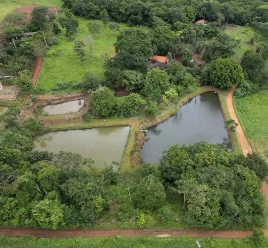 Chácara de oportunidade 69 km de Goiânia, RICA EM ÁGUA.