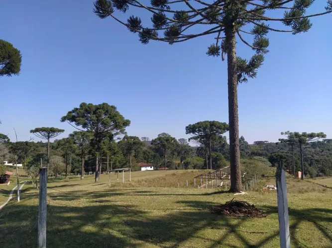 Paraíso do sul