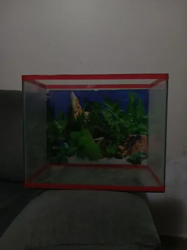 Aquário de Vidro com Moldura Vermelha, Ideal para Peixes