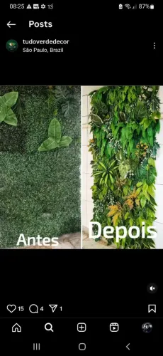 Parede Verde Decorativa - Transforme seu ambiente!