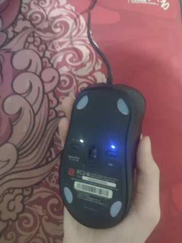 Zowie Ec2
