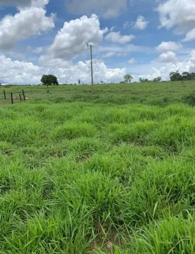 FAZENDA EM URUAÇU (GO) ? 52 ALQUEIRES DE PRODUTIVIDADE