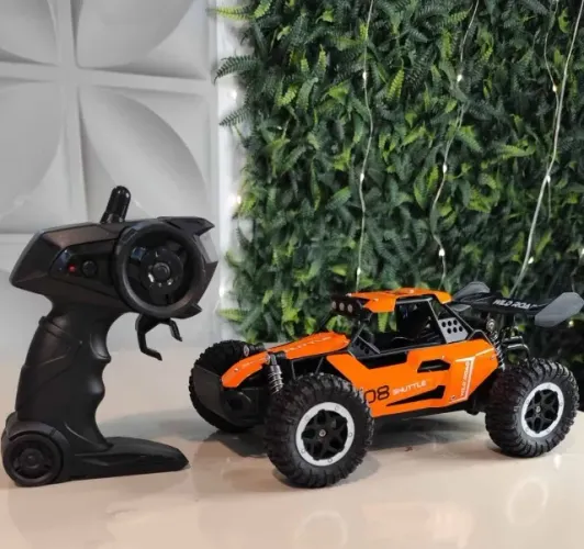 Carrinho off road de controle remoto