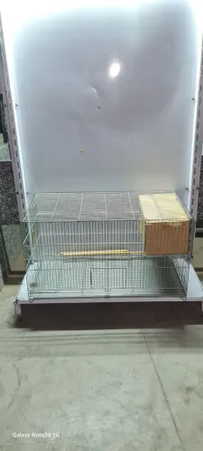 Gaiola Criadeira calopsita com ninho