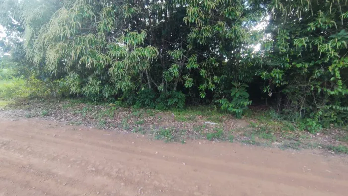 //Lote no Km 19 da AM 070