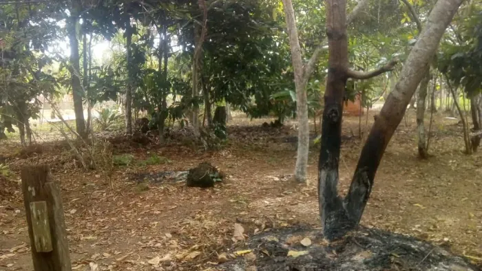 //Terreno com Área Verde em Açutuba