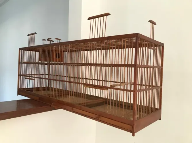 Gaiolas Voadoras ( Macho e Fêmea )