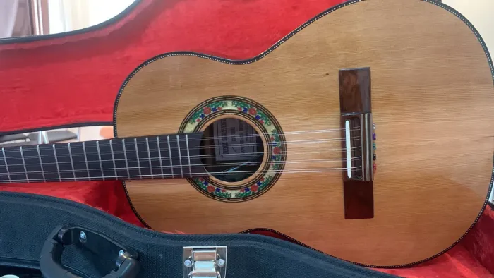 Viola modelo SEGOVIA Luthier Zé mineiro 