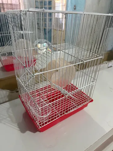 Gaiola para hamster