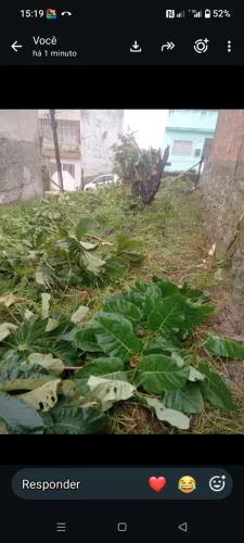 Vendo um terreno *11