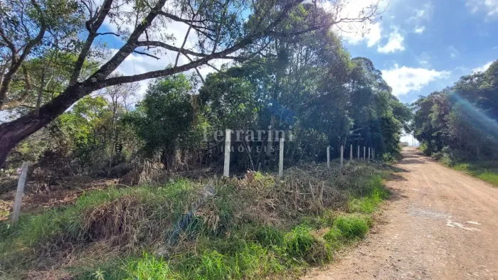 Terreno em Colombo