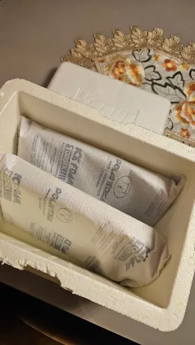 Caixa de isopor e placas de gelo