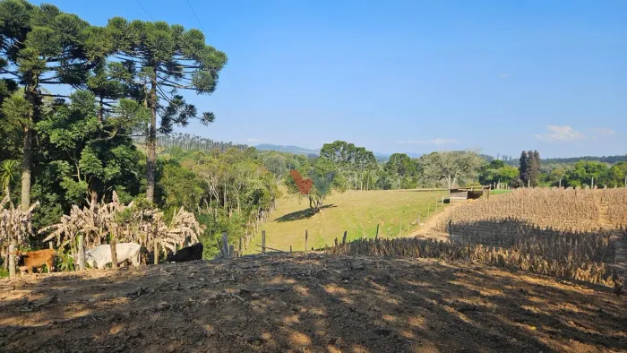 Chácara 20.000 m com Casa, pomar, nascentes, lago, em Mandirituba