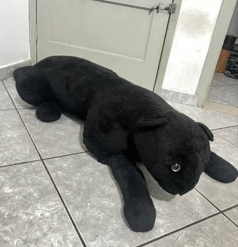 Pantera negra