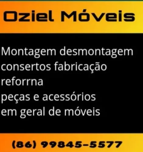 Montador de móveis e marceneiro